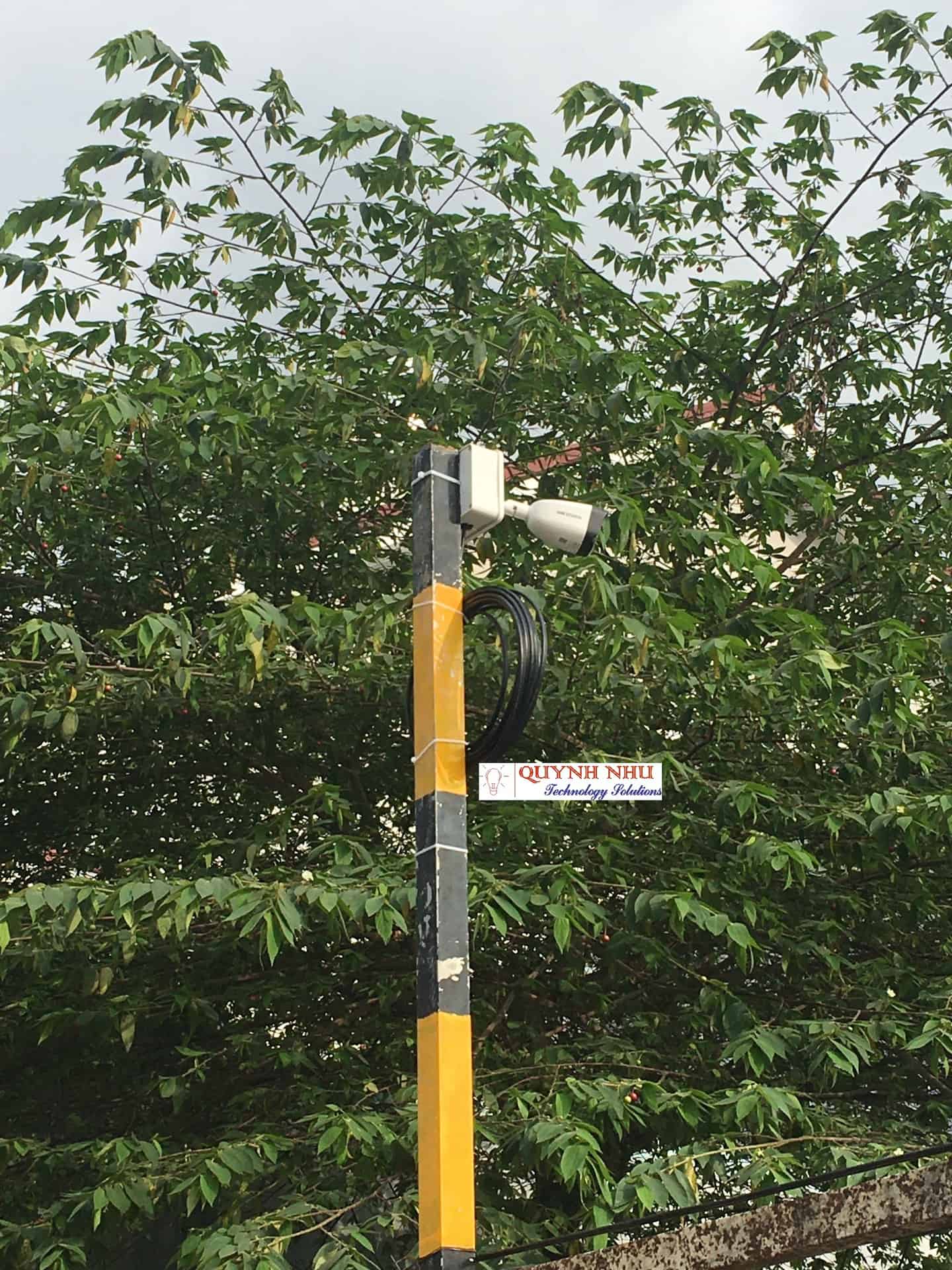 Camera thân trụ lắp trên cột tín hiệu gần cây xanh.