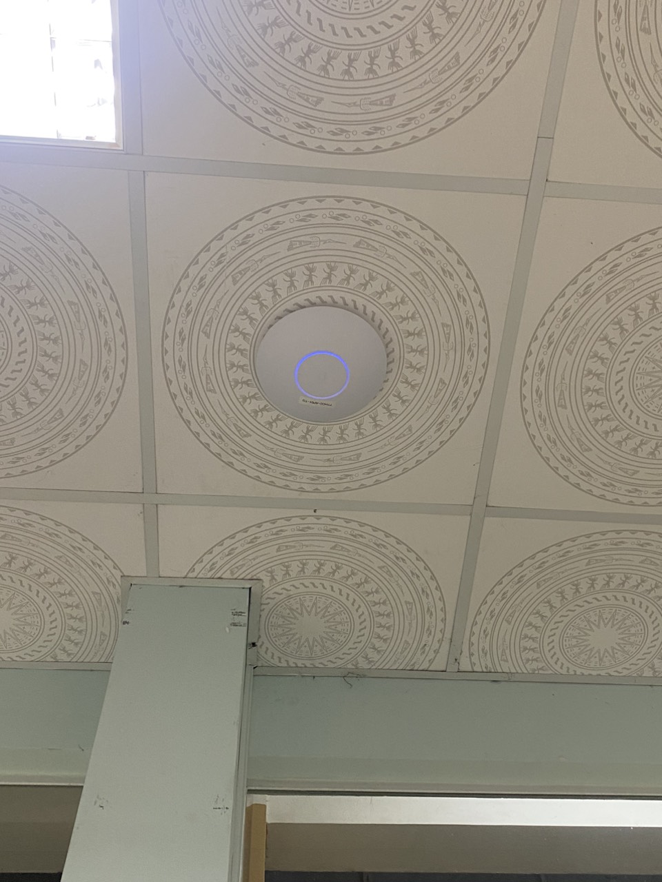 Access Point lắp trên trần hoa văn khu vực hành lang.